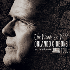 Gibbons: The Woods So Wild