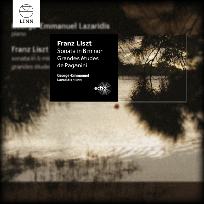 Liszt: Sonata and Etudes